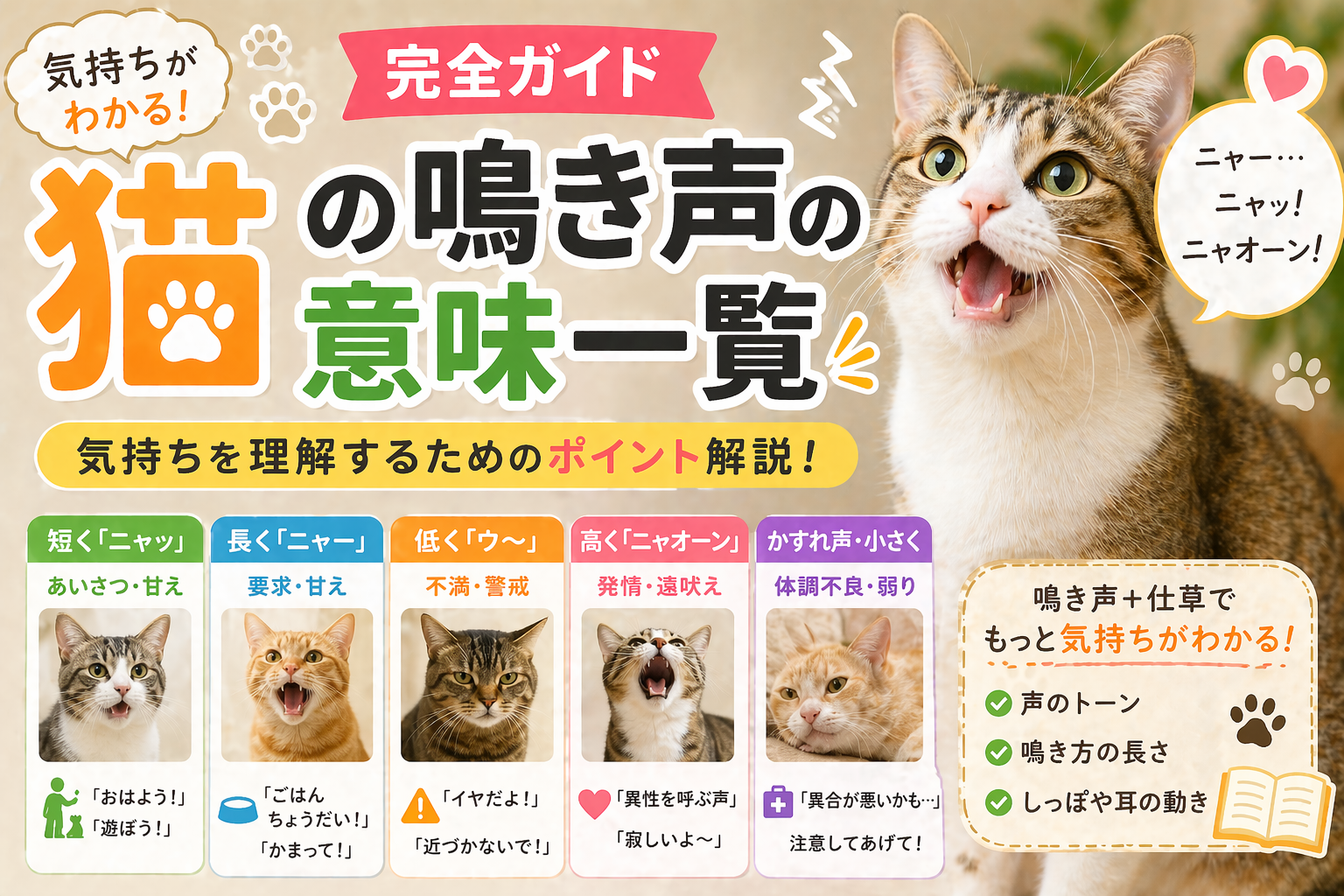 猫の鳴き声の意味一覧｜気持ちを理解するための完全ガイド