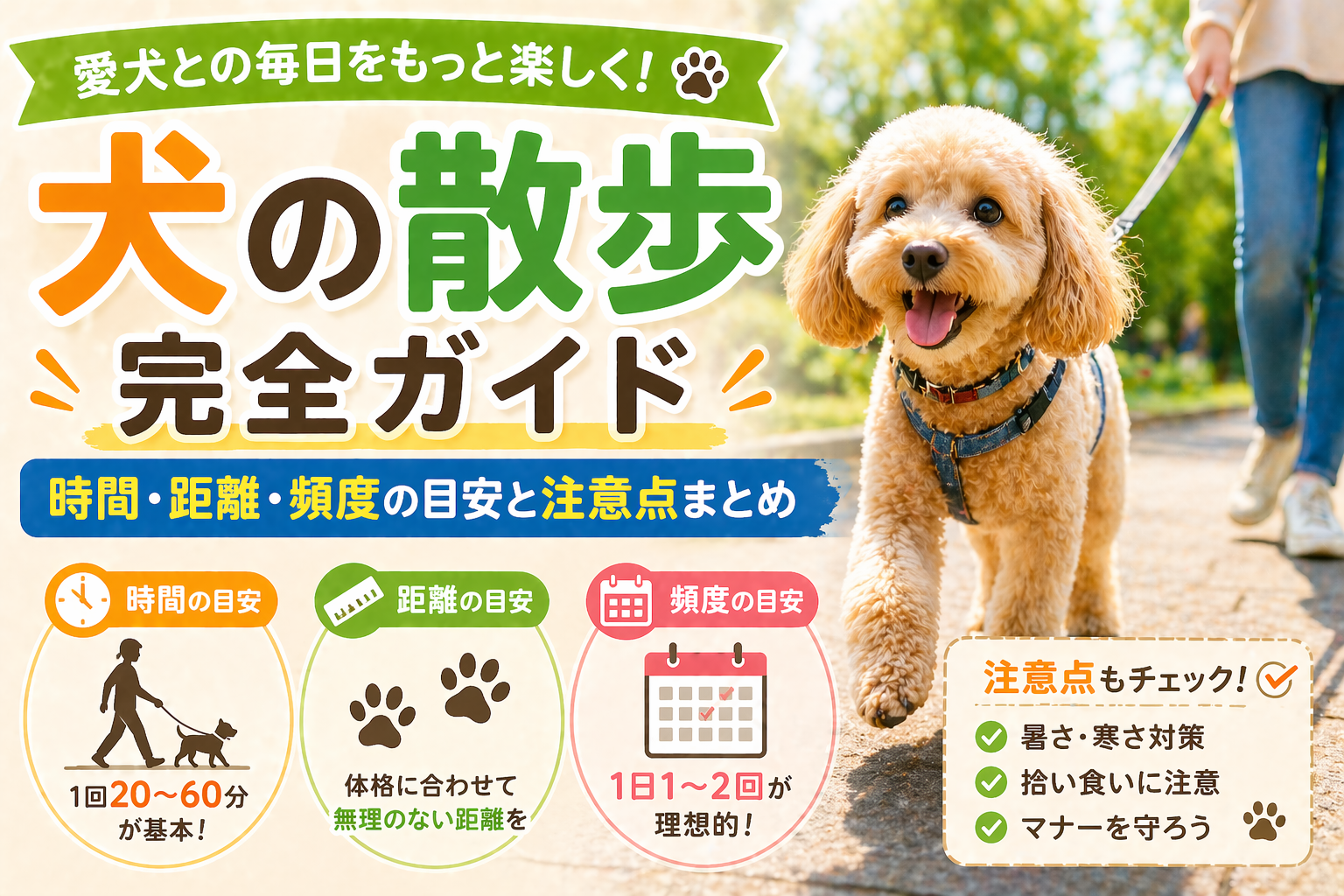 犬の散歩完全ガイド｜時間・距離・頻度の目安と注意点まとめ