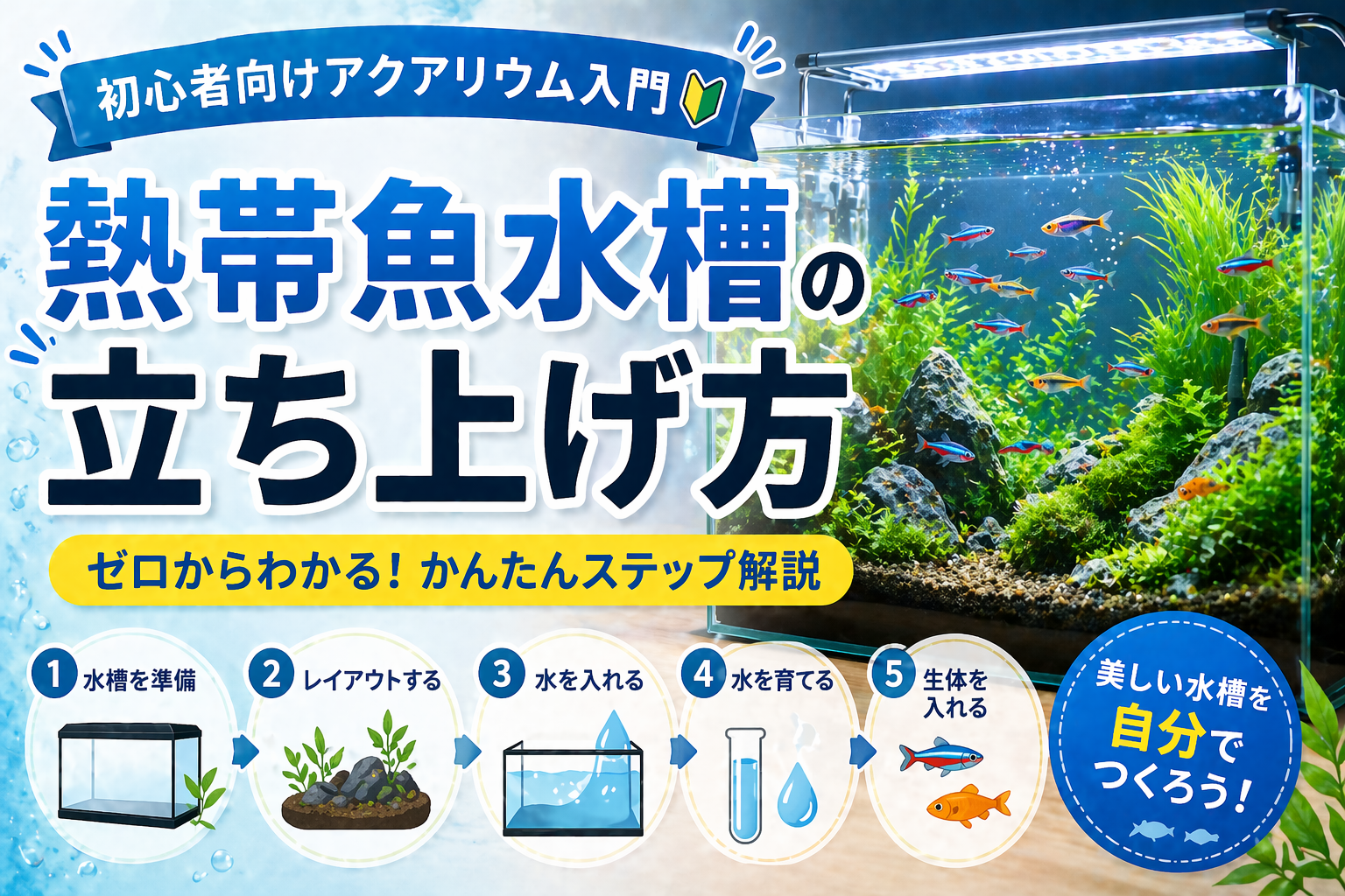 熱帯魚水槽の立ち上げ方｜初心者向けアクアリウム入門